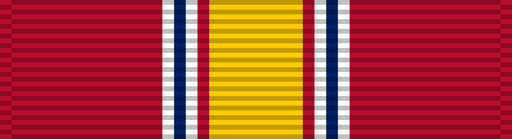 File:Ribbon ndsm.png