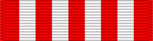 File:Ribbon ssm2.png