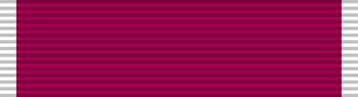 File:Ribbon lom.png
