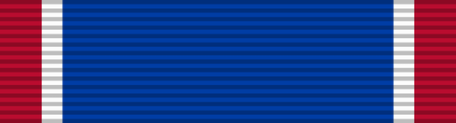 File:Ribbon dsc.png